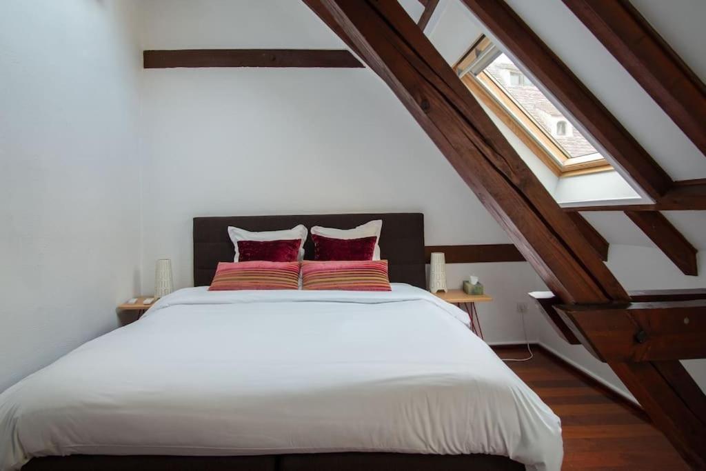 L'Or - Typical Alsacian Apartment In Strasbourg Extérieur photo